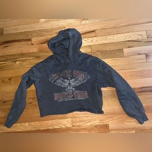 Hollister Cropped Hoodie gray xs